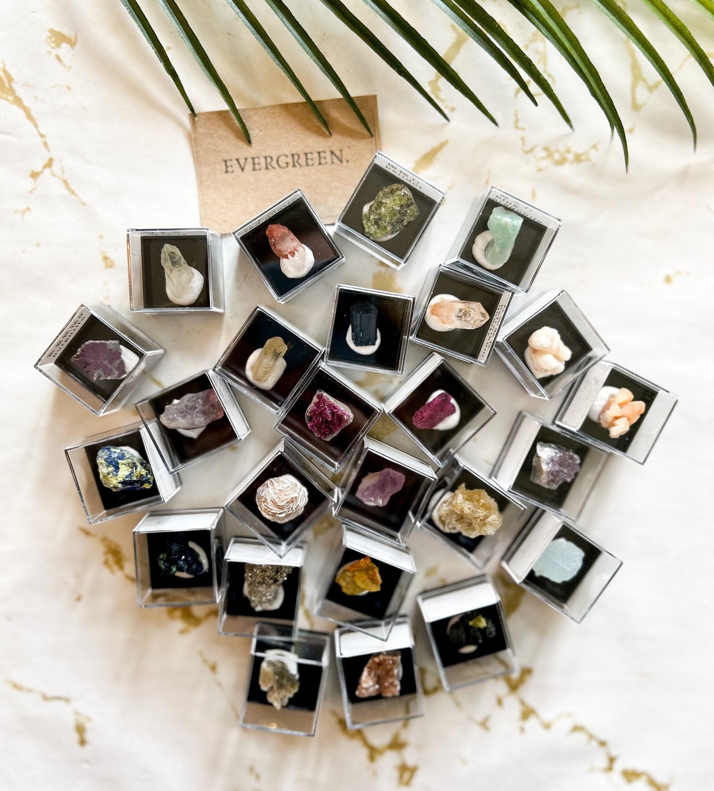Crystal / Mineral / Gemstone Specimen In A Display Case - Wide Variety Available!