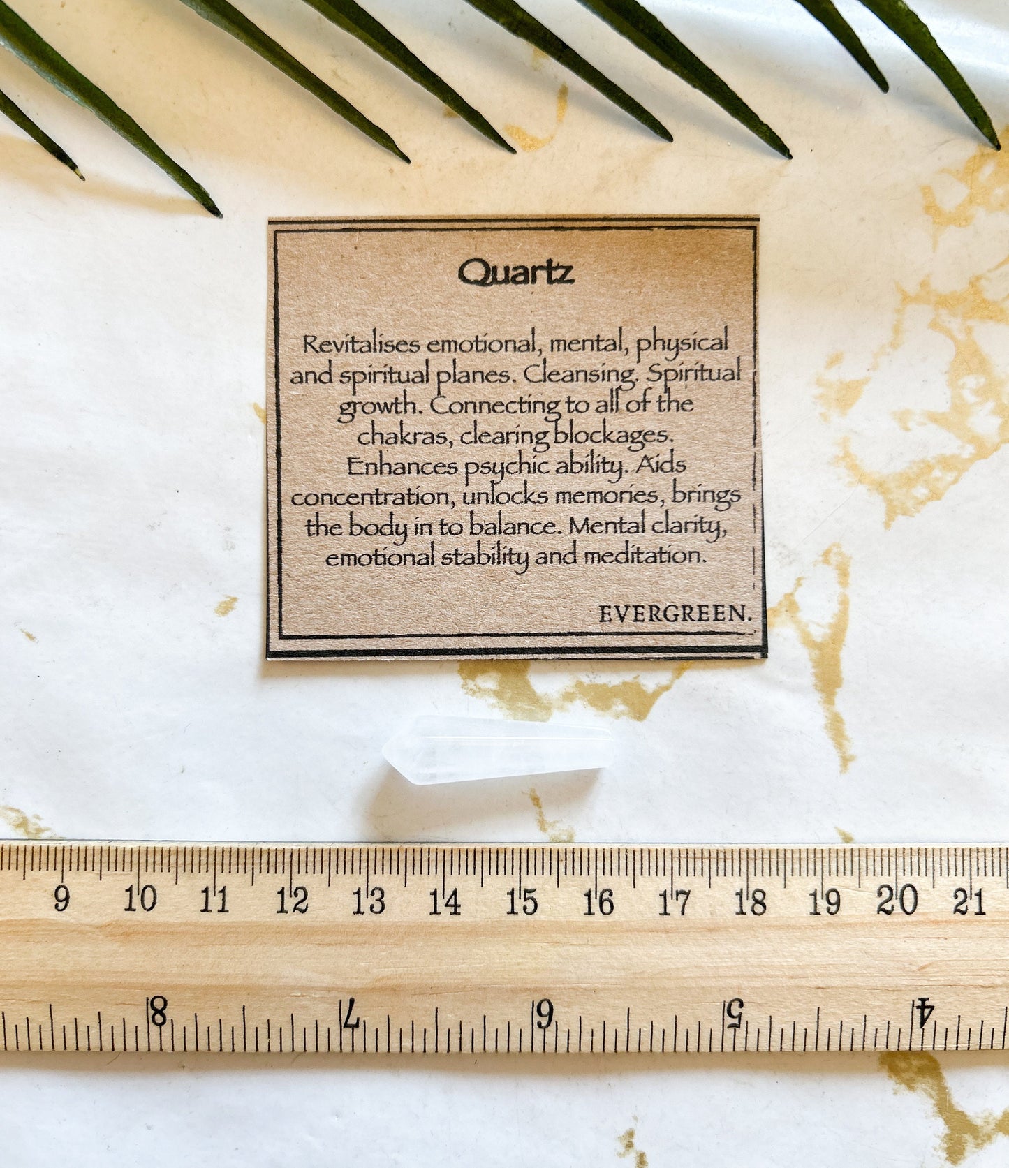 Quartz Crystal Point - Cleansing, Concentration & Balance