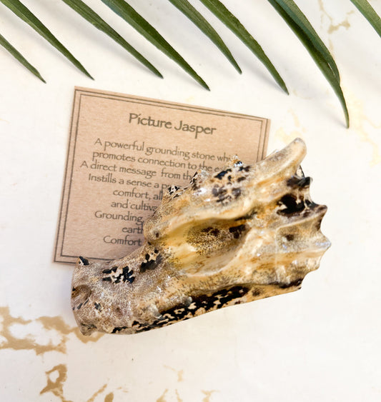Picture Jasper Crystal Dragon Skull Carving - Grounding, Comfort & Connection