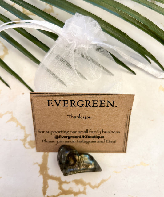 Labradorite Crystal Bird Skull Carving - Relieves Anxiety & Stress