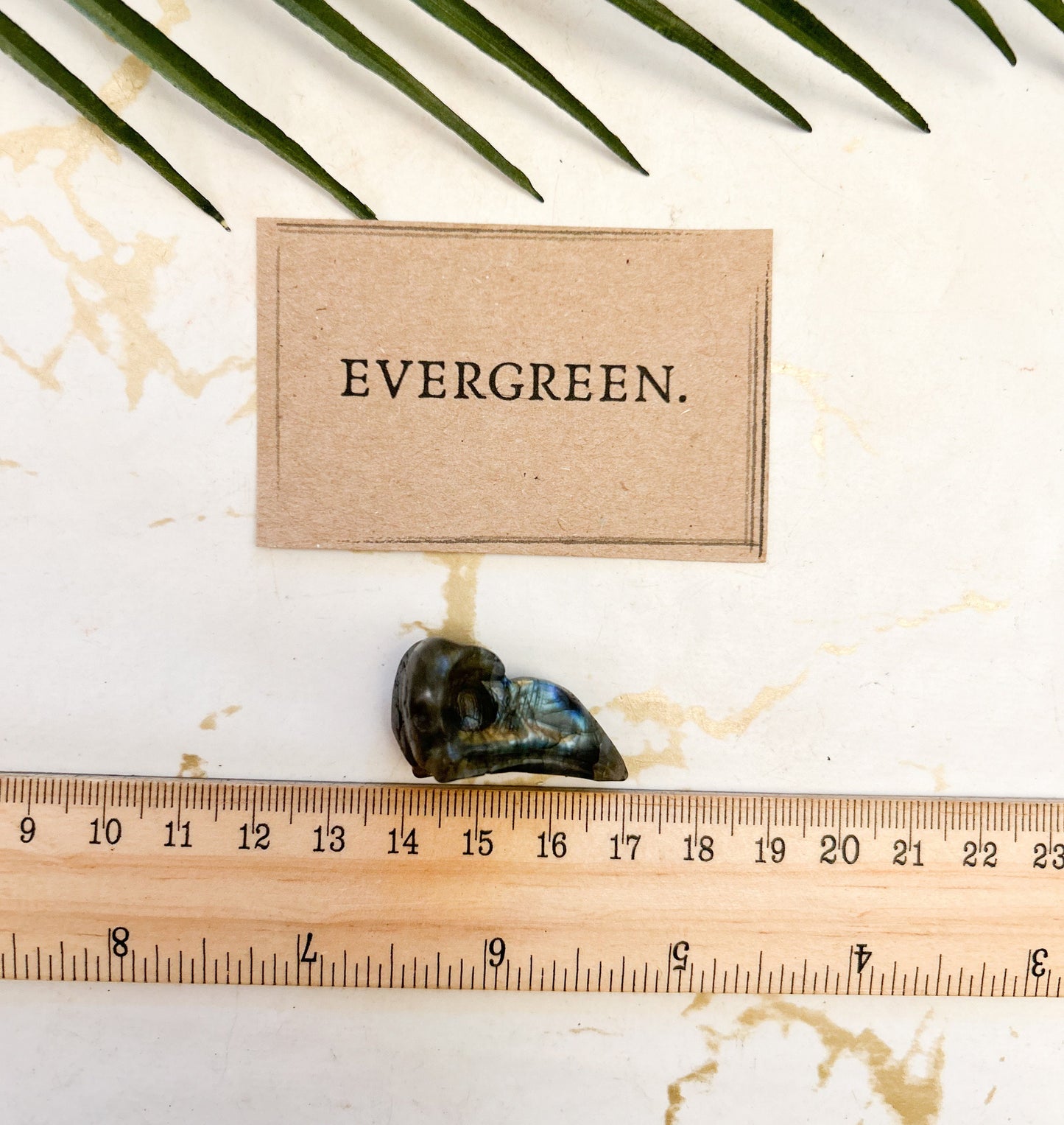 Labradorite Crystal Bird Skull Carving - Relieves Anxiety & Stress