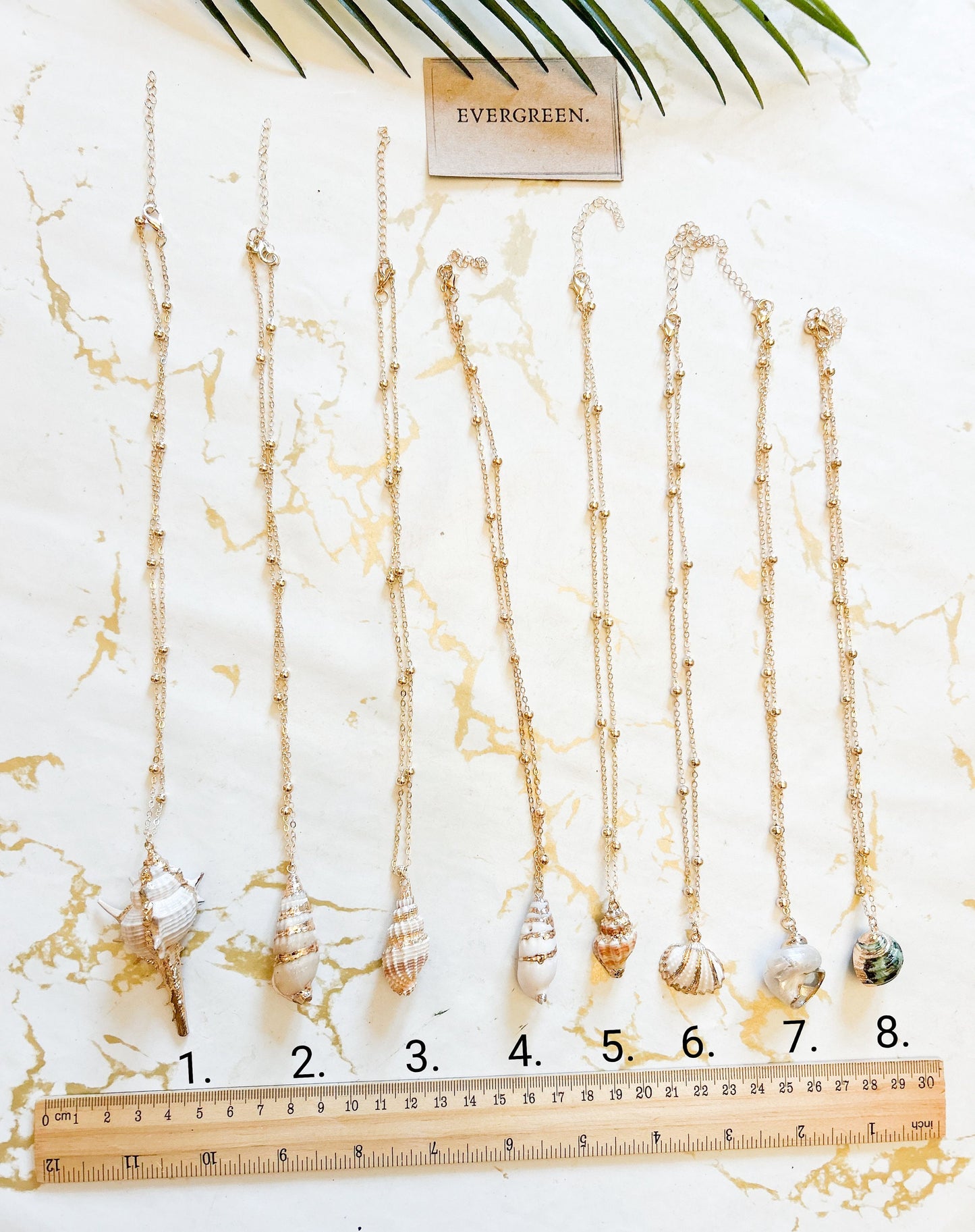 Natural Seashell Pendant Necklace - Wide Variety Available!