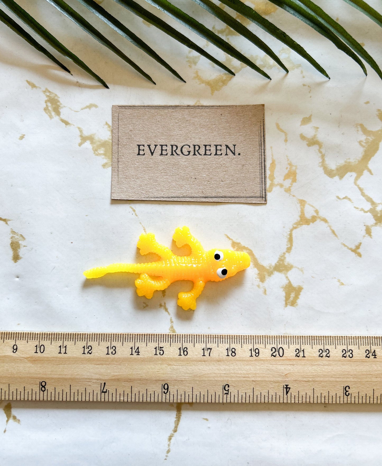 Sticky Stretchy Fidget Creatures - Wide Variety Available!