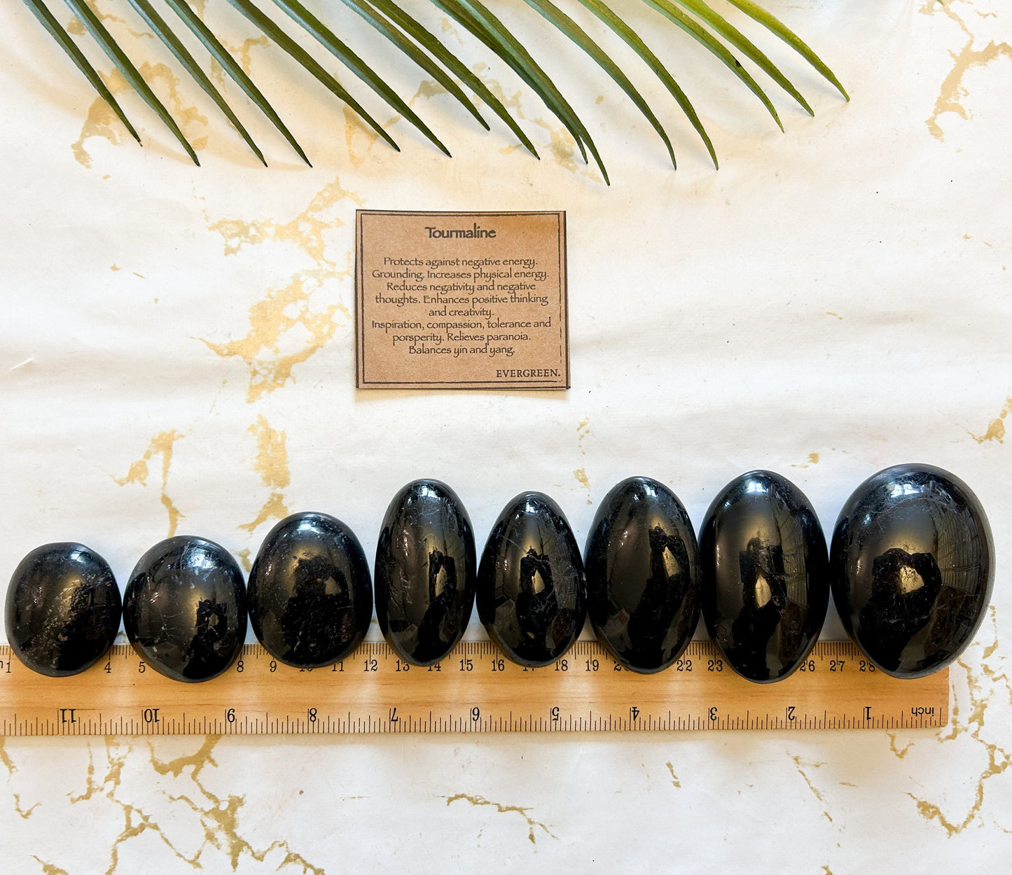 Black Tourmaline Crystal Palm Stone - Positivity, Grounding & Energy