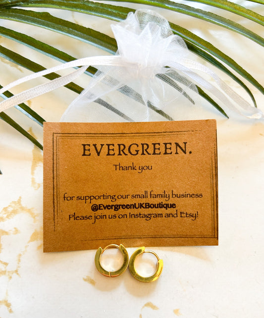 Gold Stainless Steel Hypoallergenic Enamel Hoop Earrings - Purple / Orange / Teal / Black / White