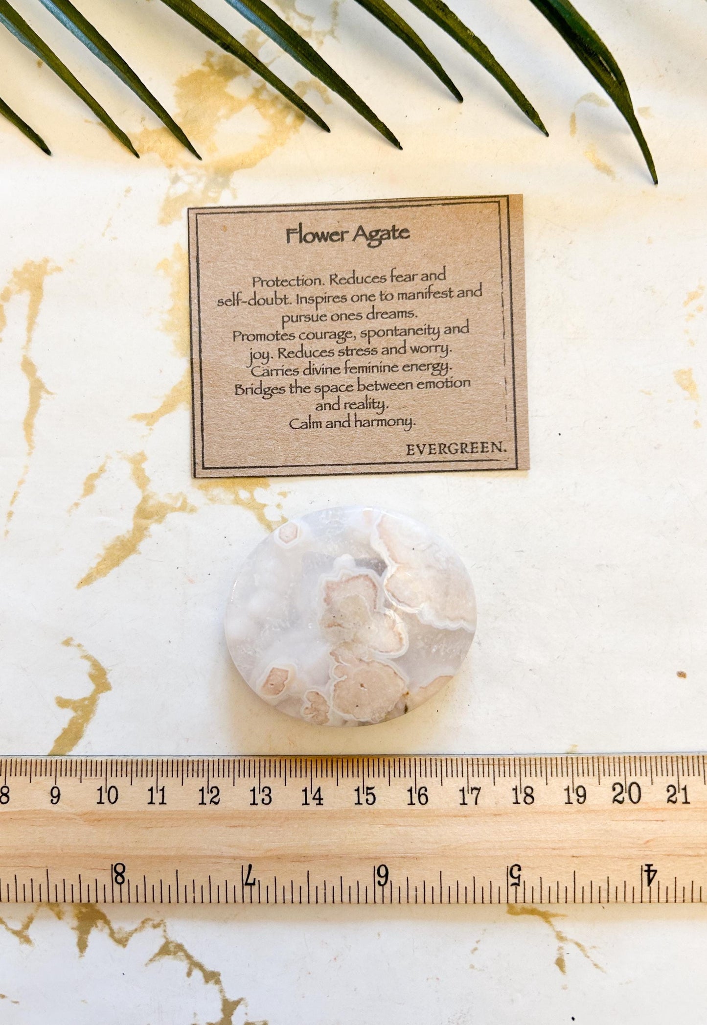 Flower Agate Crystal Palm Stone - Protection, Courage & Manifestation