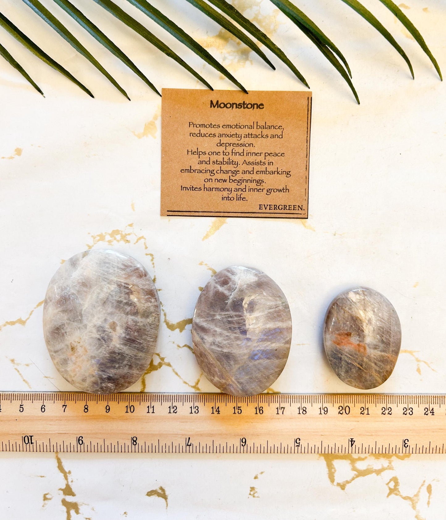 Moonstone Crystal Palm Stone - Balance, Inner Peace & Stability
