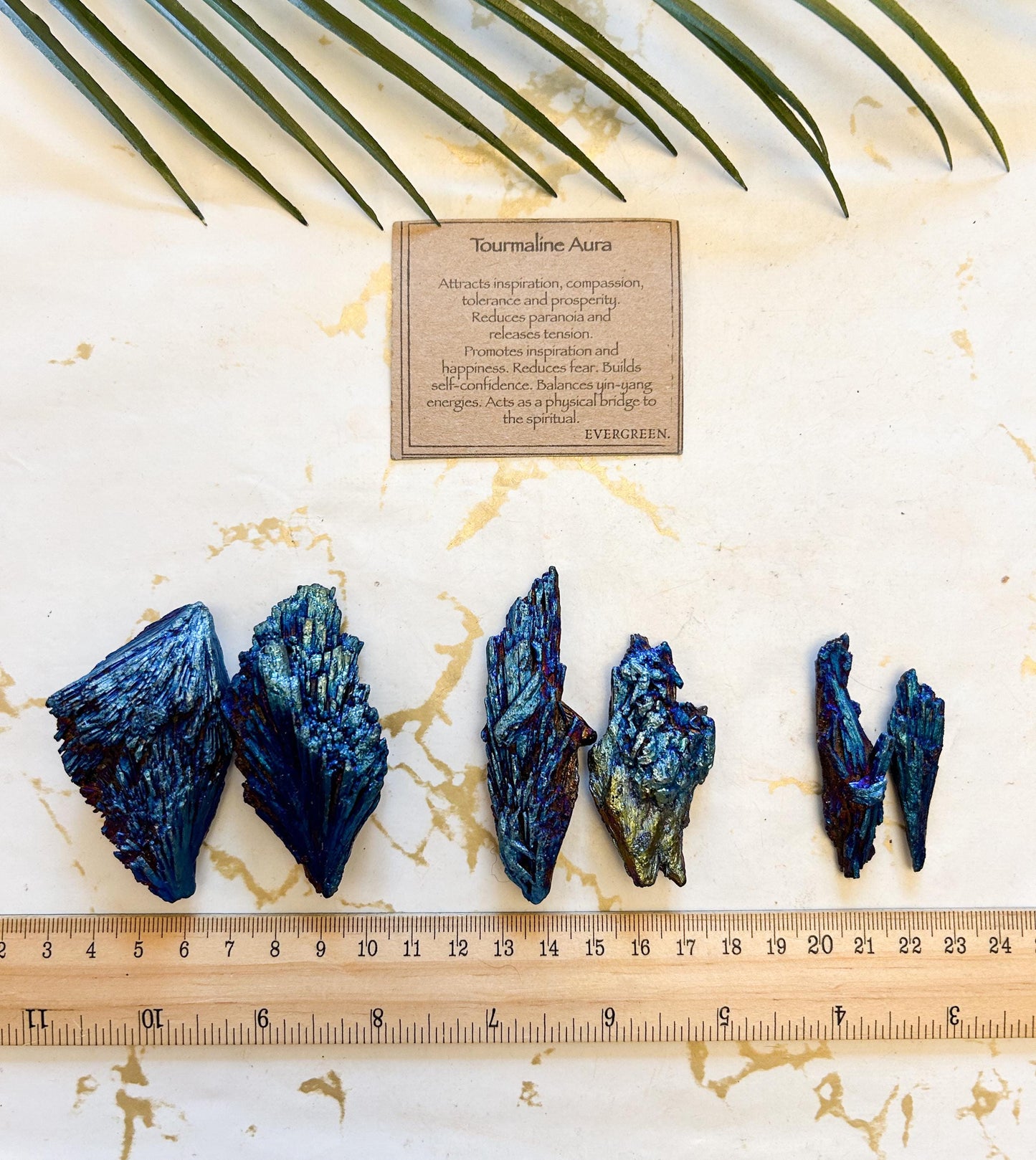 Tourmaline Aura Crystal Feather - Compassion, Tolerance & Prosperity