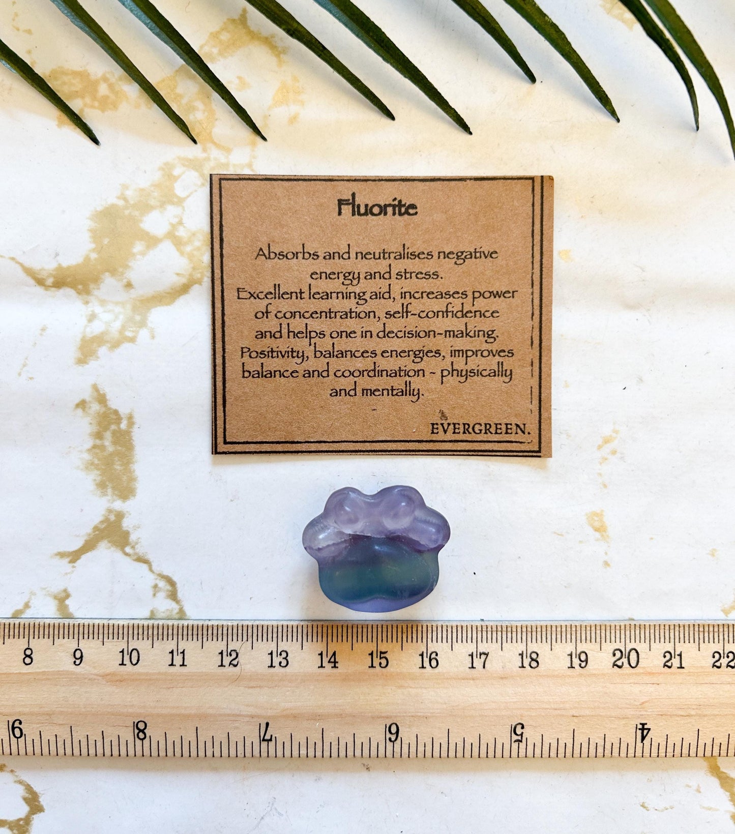 Fluorite Crystal Paw Print Carving - Balance, Concentration & Self-Confidence