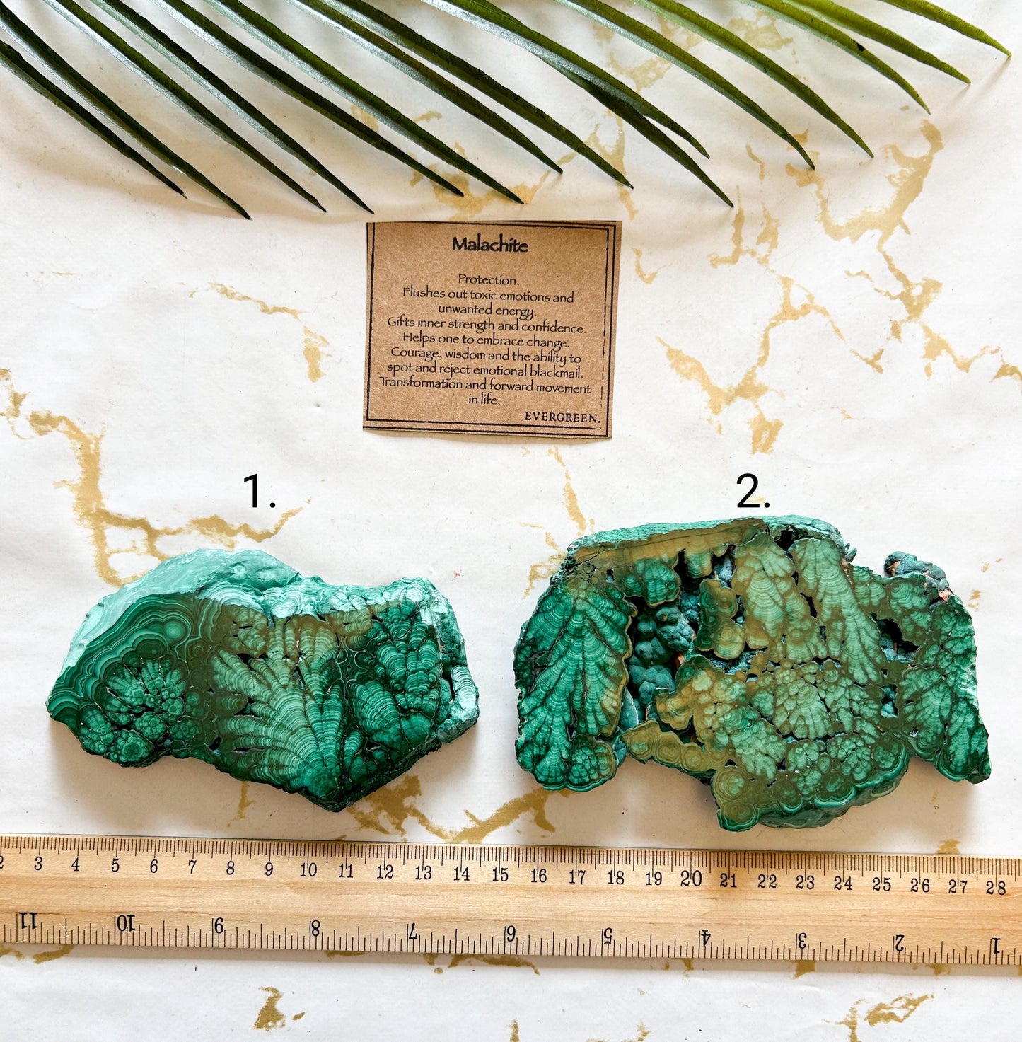 Malachite Crystal Slice - Protection, Inner Strength & Confidence
