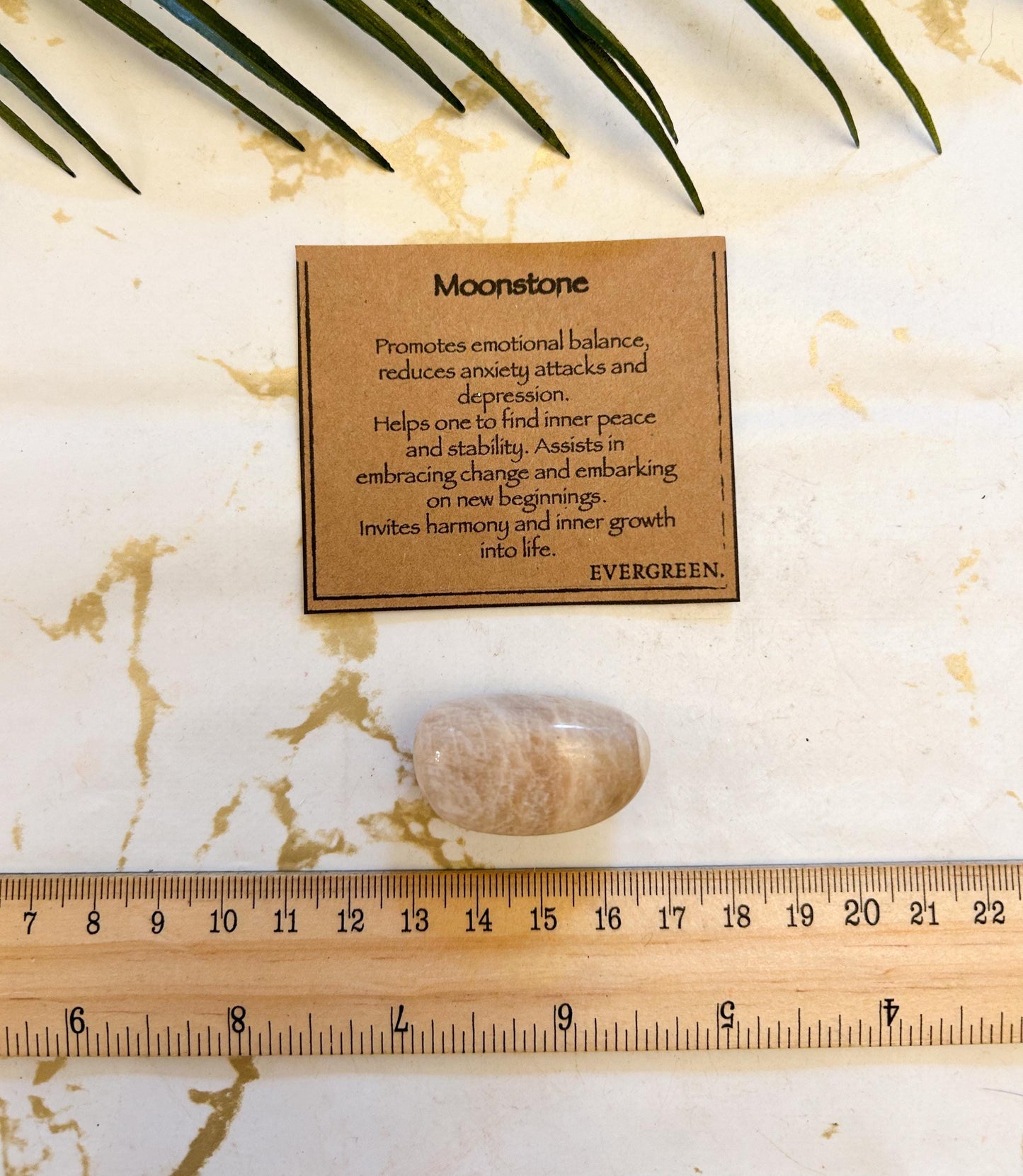 Moonstone Crystal Tumbled Stone - Balance, Peace & Stability