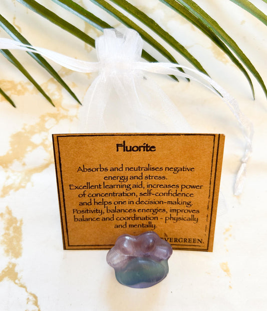 Fluorite Crystal Paw Print Carving - Balance, Concentration & Self-Confidence