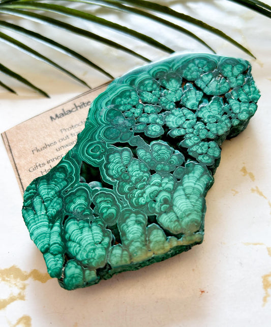 Malachite Crystal Slice - Protection, Inner Strength & Confidence