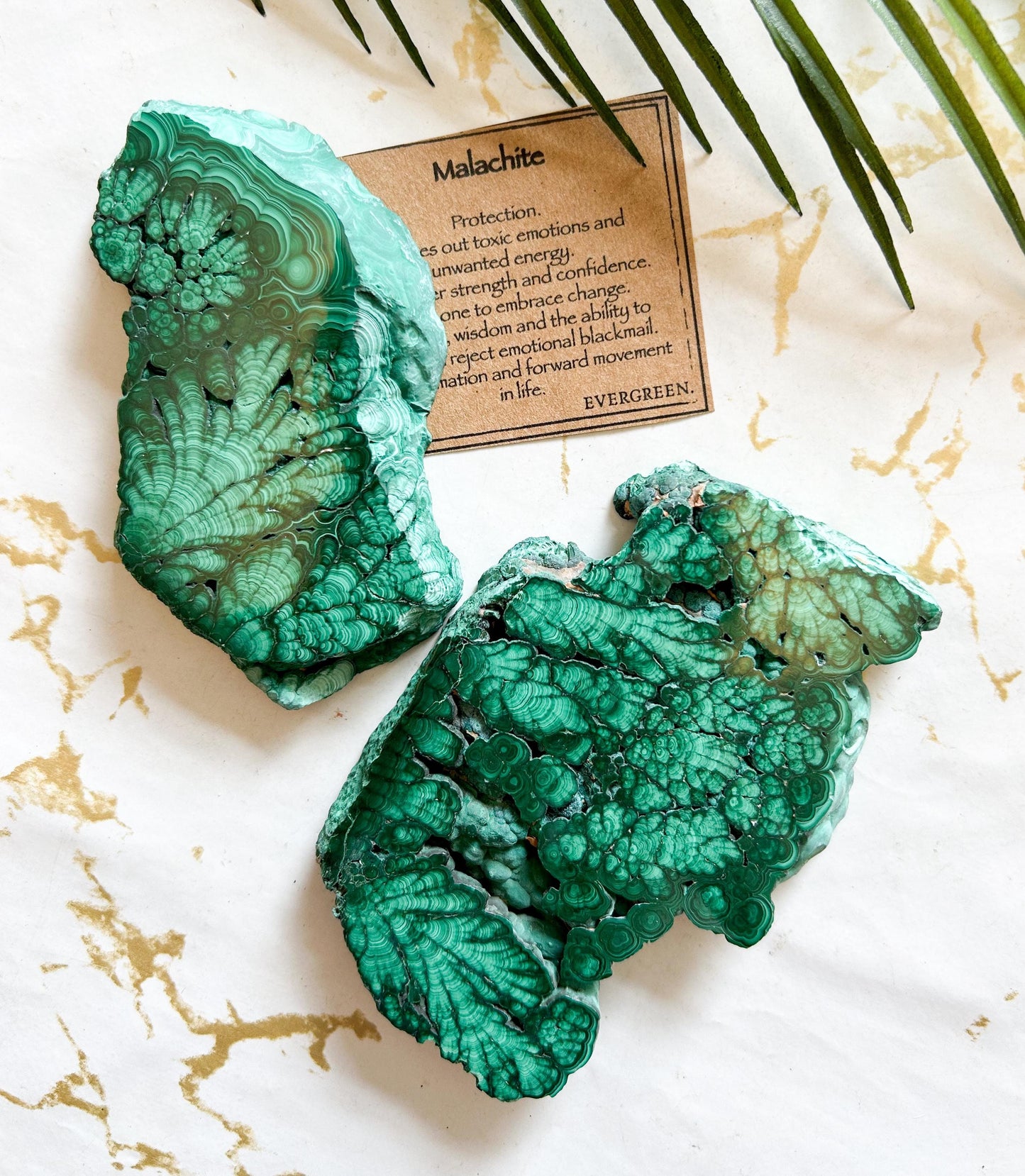 Malachite Crystal Slice - Protection, Inner Strength & Confidence