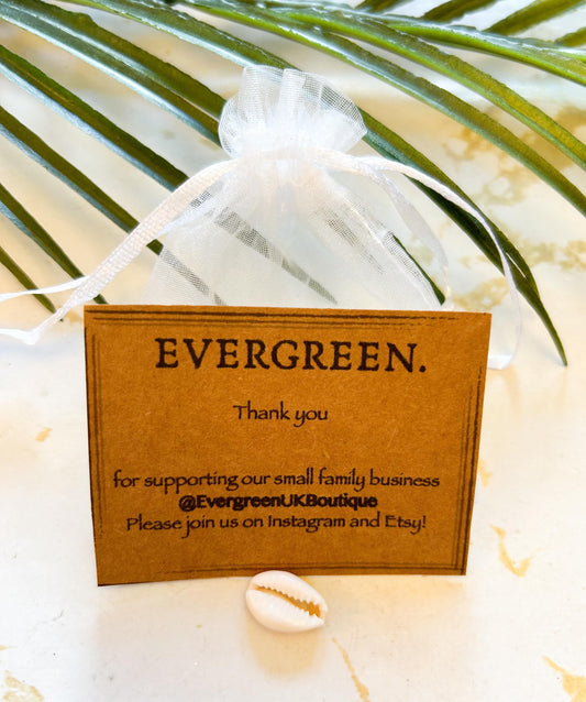 Natural Seashell / Shell - Beach, Ocean, Nature