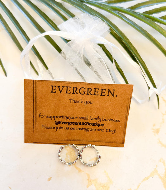 Gold / Silver Cubic Zirconia Leaf Small Hoop Earrings