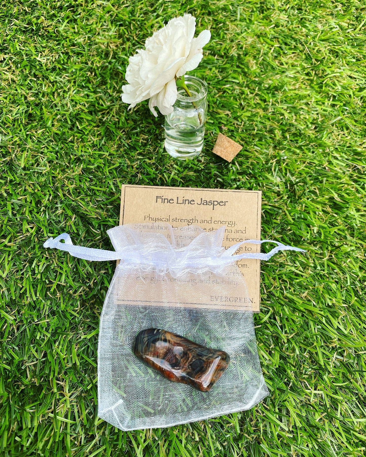 Fine Line Jasper Crystal Tumbled Stone - Strength, Energy, Grounding, Wisdom