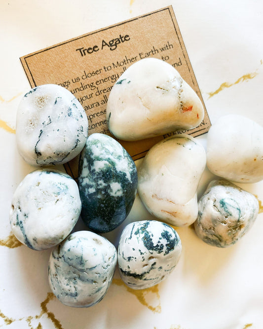 Tree Agate Crystal Tumbled Stone -Grounding, Energy, Protection