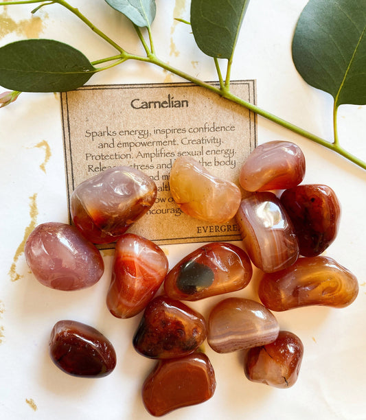 Carnelian Crystal Tumbled Stone - Confidence, Empowerment & Energy