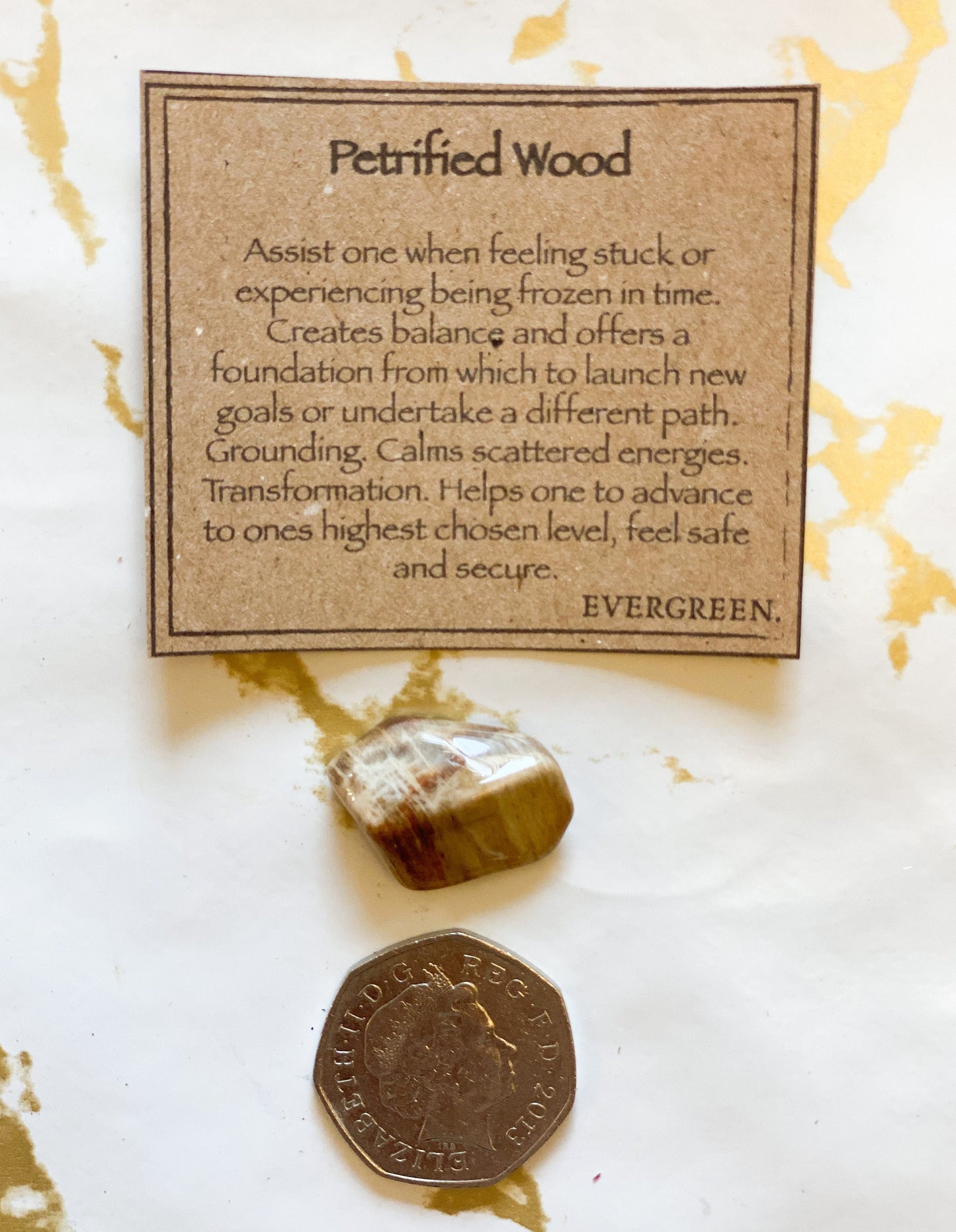Petrified Wood Crystal Tumbled Stone - Balance, Transformation & Security