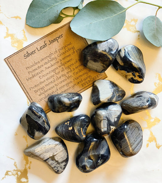 Silver Leaf Jasper Crystal Tumbled Stone - Protection, Strength & Grounding