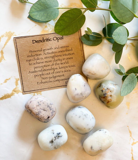 Dendritic Opal Crystal Tumbled Stone - Strength, Growth & Clarity