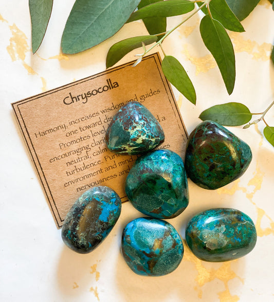 Chrysocolla Crystal Tumbled Stone - Harmony, Wisdom & Clarity