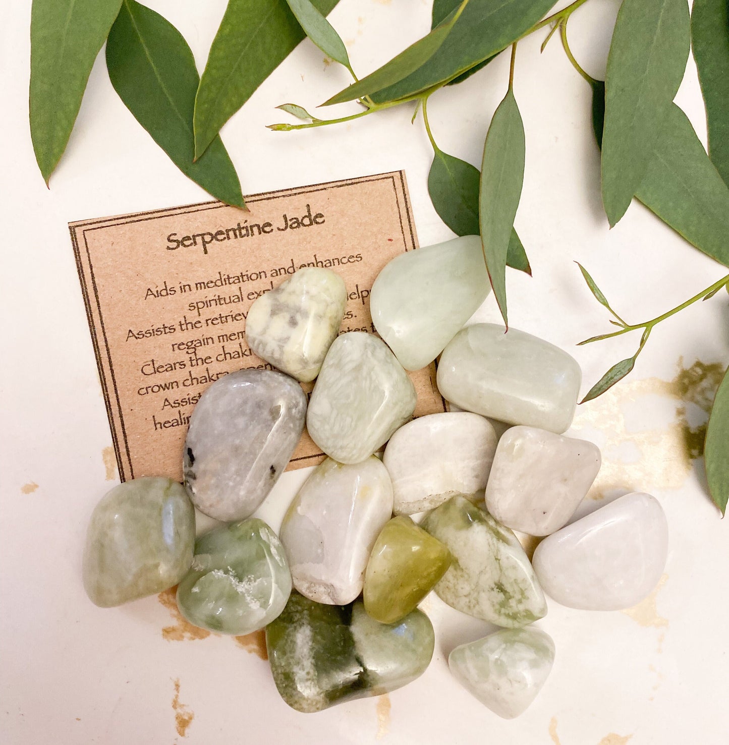 Serpentine Jade Crystal Tumbled Stone - Meditation, Independence & Wisdom
