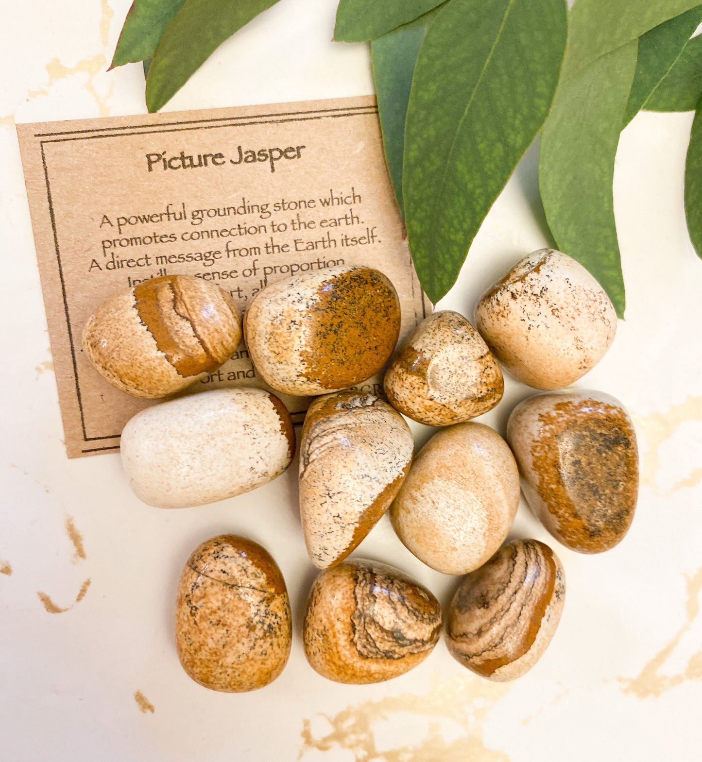 Picture Jasper Crystal Tumbled Stone - Grounding, Comfort & Connection