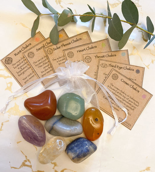 7 Chakra Crystal Tumbled Stone & Information Card Gift Set