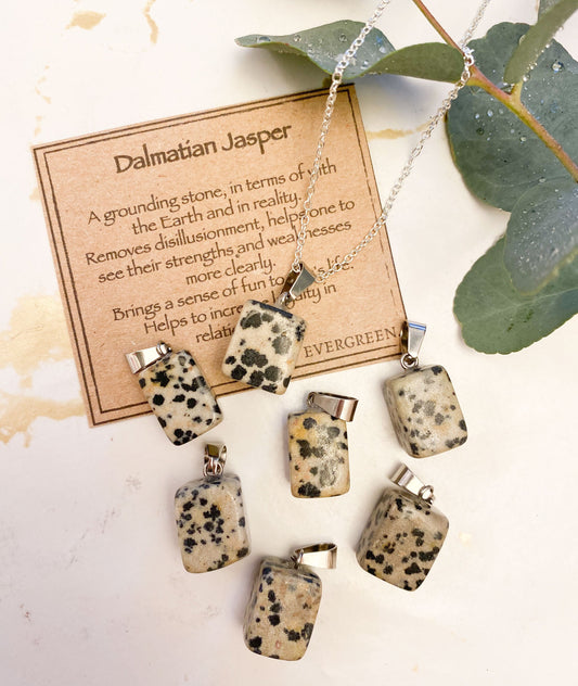 Dalmatian Jasper Crystal Pendant - Grounding, Strength & Loyalty