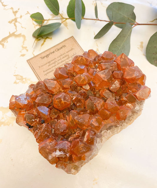Stunning Raw Tangerine Quartz Crystal Cluster - Encouragement, Strength & Vitality