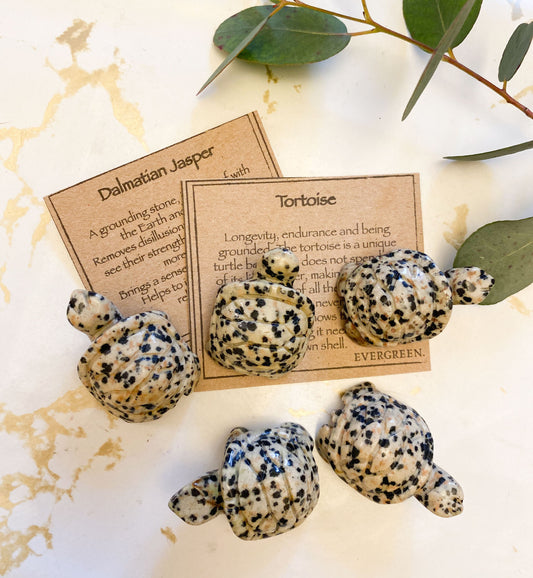 Hand Carved Dalmatian Jasper Crystal Tortoise - Loyalty, Wisdom & Fun