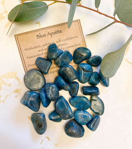 Blue Apatite Crystal Tumbled Stone - Motivation, Ambition & Self-Confidence