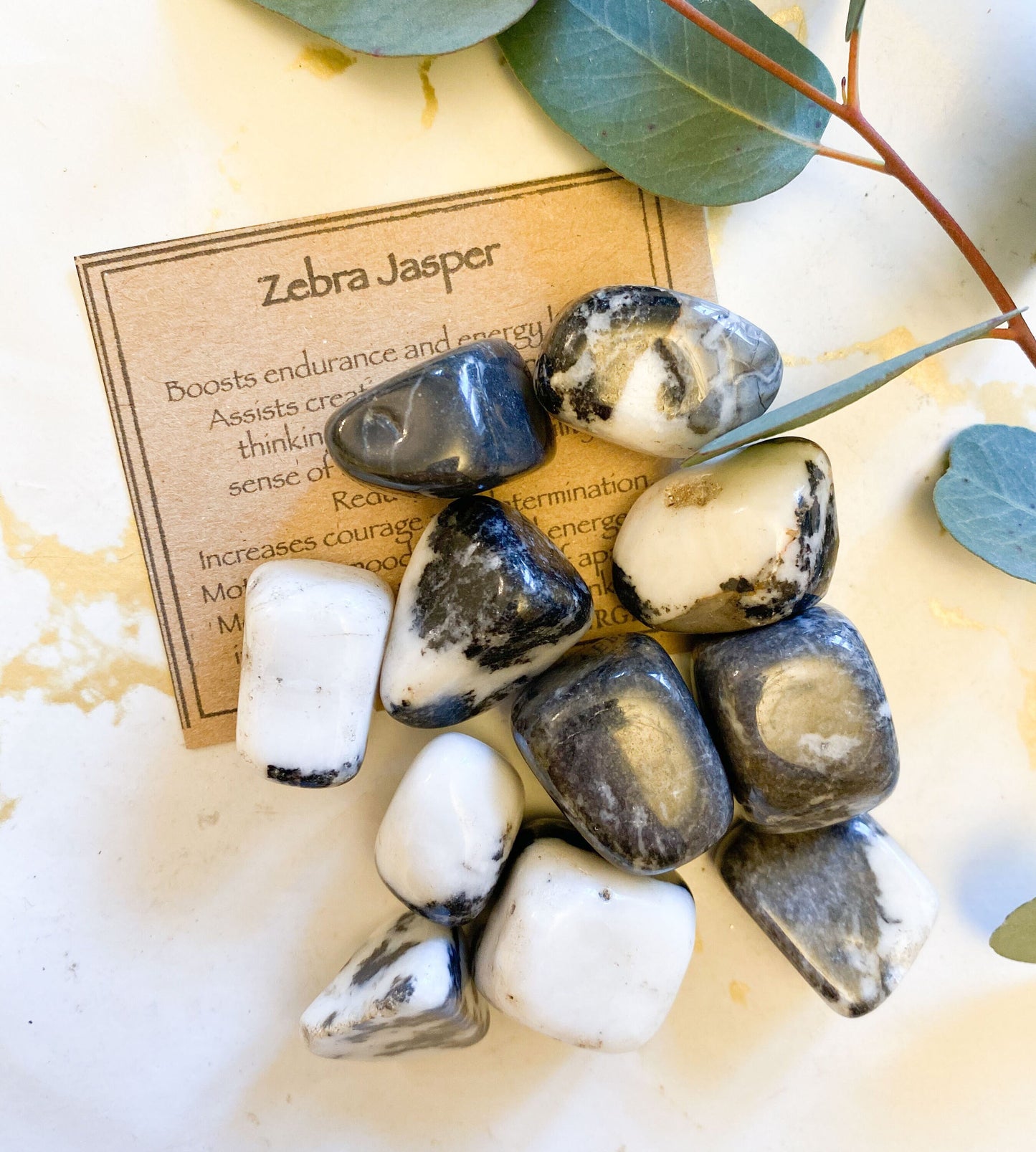 Zebra Jasper Crystal Tumbled Stone - Energy, Stability & Courage