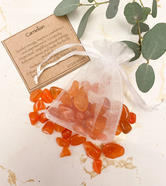 Carnelian Crystal Chip Gift Bag 20g - Confidence, Empowerment & Creativity
