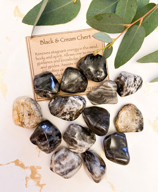 Black And Cream Chert Crystal Tumbled Stone - Guidance, Knowledge & Energy