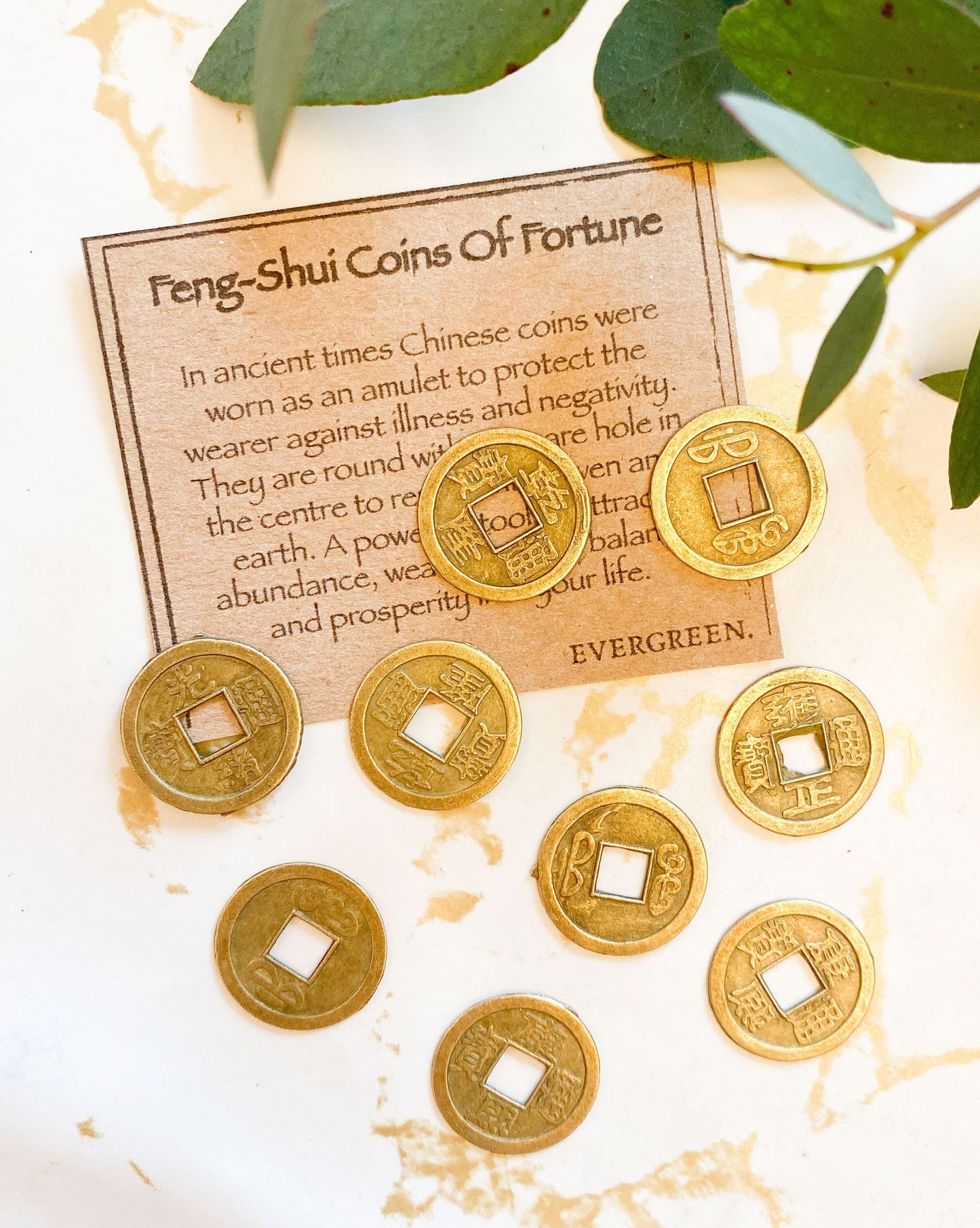 Feng Shui Coin Of Fortune - Protection, Abundance & Wealth