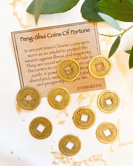 Feng Shui Coin Of Fortune - Protection, Abundance & Wealth