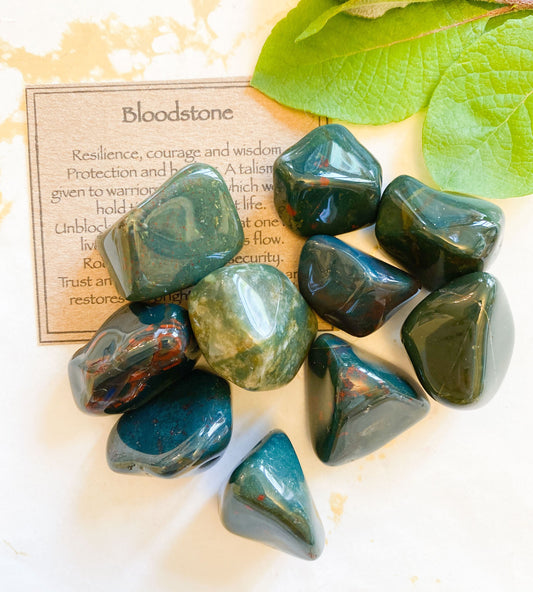 Green Bloodstone Crystal Tumbled Stone - Resilience, Courage & Wisdom