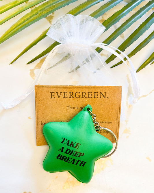 Stress Relief Motivational Quote Squishy Star Keychains - Wide Variety Available!