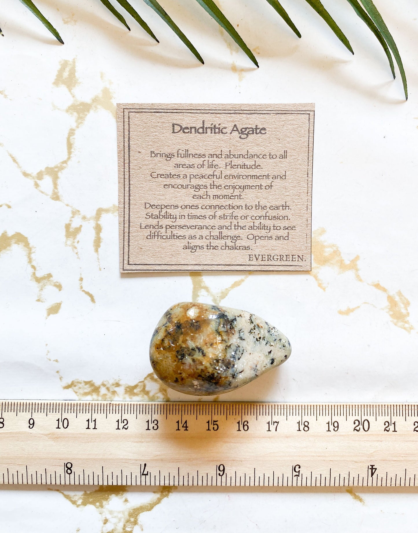 Dendritic Agate Crystal Tumbled Stone - Abundance, Plentitude & Connection