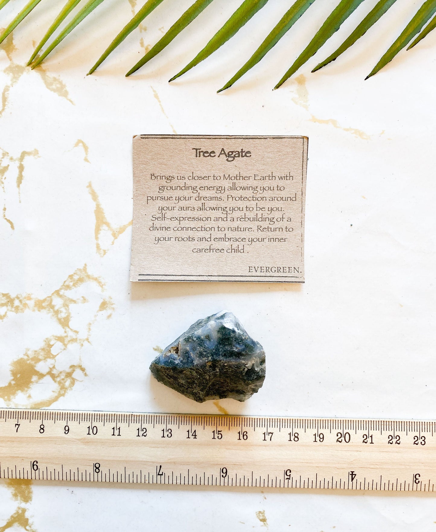 Raw / Rough Tree Agate Crystal - Grounding, Protection & Connection To Nature