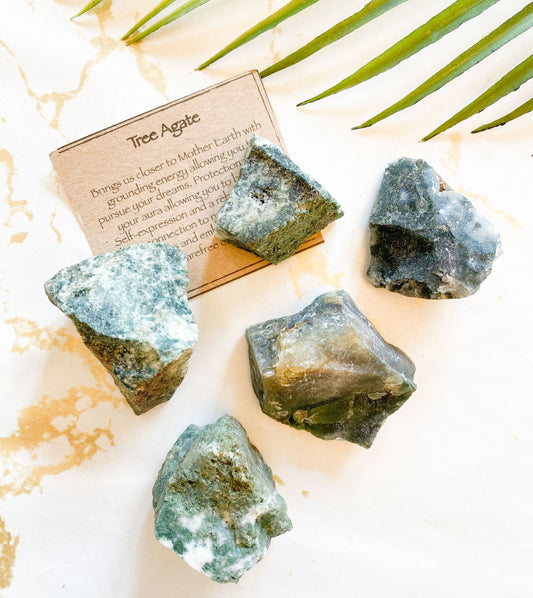 Raw / Rough Tree Agate Crystal - Grounding, Protection & Connection To Nature