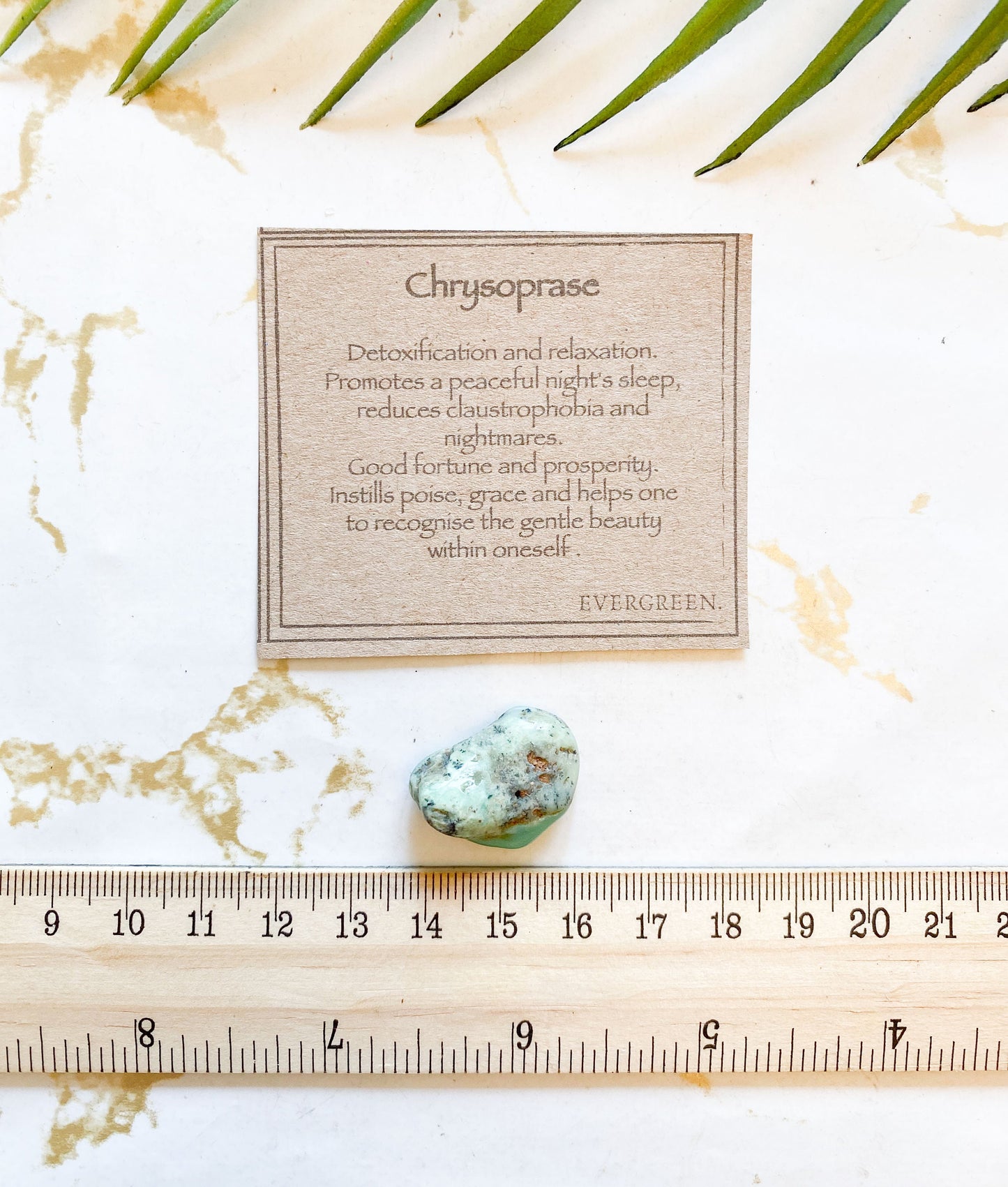 Chrysoprase Crystal Tumbled Stone - Good Fortune, Prosperity & Relaxation