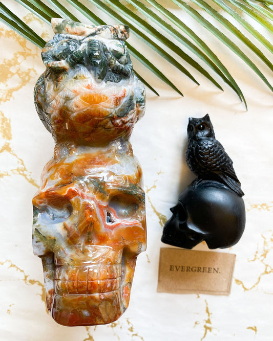 Owl / Bird & Skull Crystal Carvings - Red Moss Agate, Black Obsidian