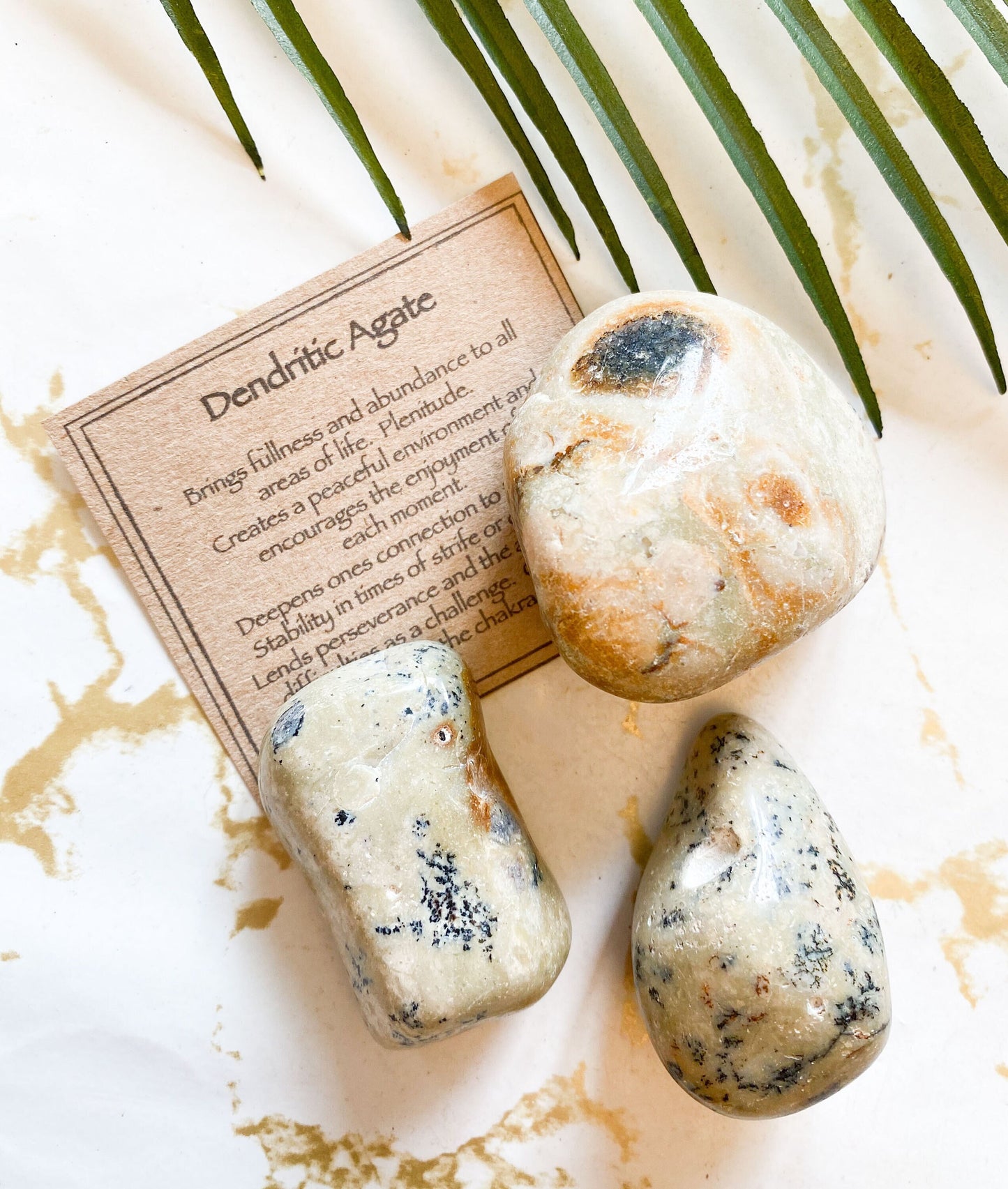 Dendritic Agate Crystal Tumbled Stone - Abundance, Plentitude & Connection