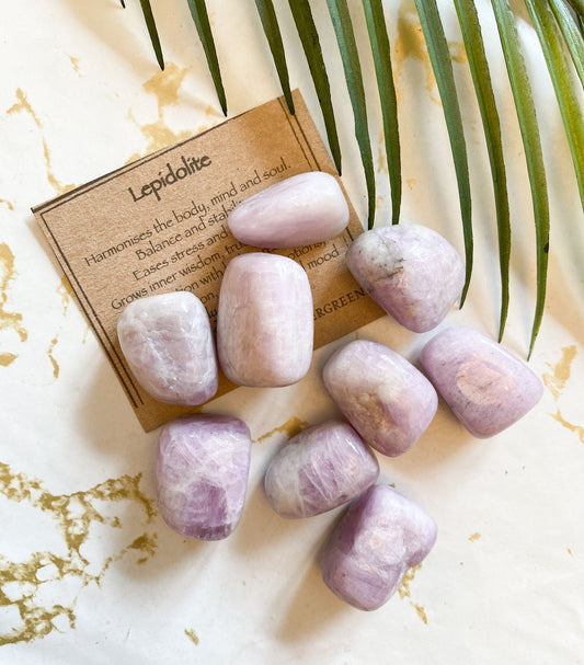 Lepidolite Crystal Tumbled Stone - Harmony, Balance & Stability