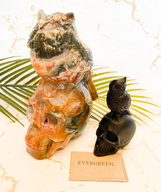 Owl / Bird & Skull Crystal Carvings - Red Moss Agate, Black Obsidian