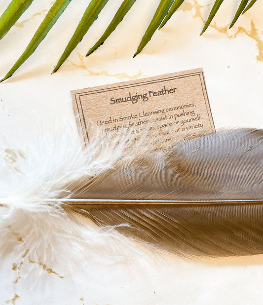 Eagle Feather / Vegan Friendly Faux Imitation -  Smudging & Cleansing Ceremonies